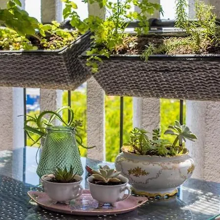 Sunset Oasis “velly” 1br W/ Sea View & Parking Apartment